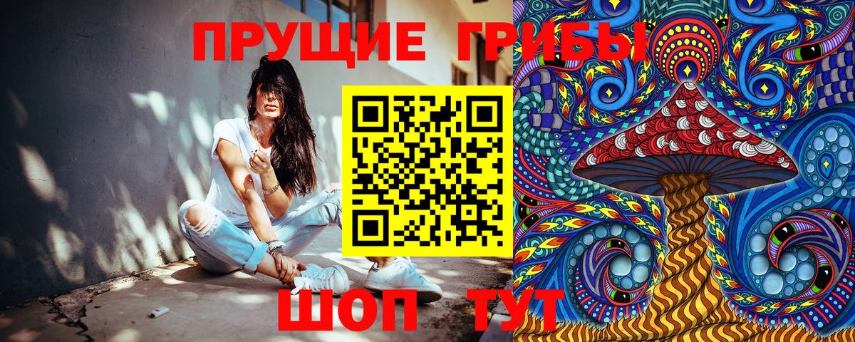 Альфа ПВП Можга