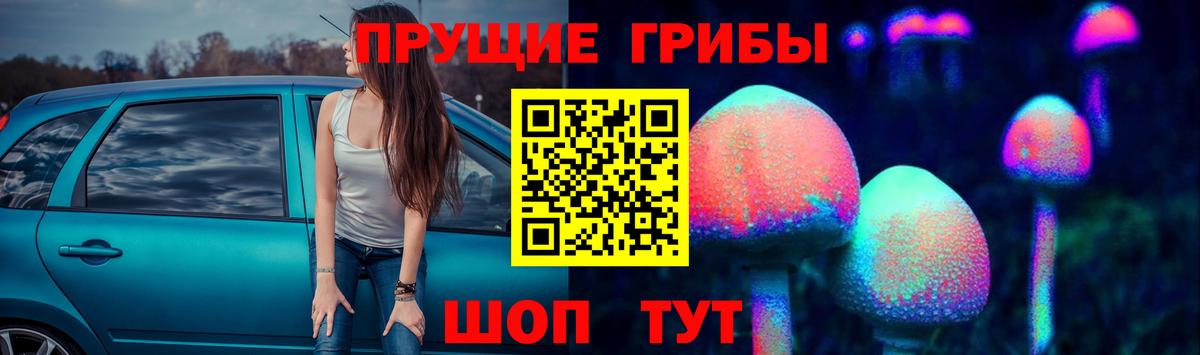 Можга  Псилоцибиновые грибы Psilocybine cubensis  Вход с VPN 